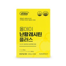 올데이 난황레시틴 플러스 1000mg 60캡슐, 60정, 1개, 60정