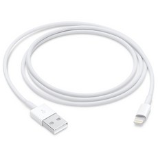 Apple 정품 충전 케이블, Lightning, USB, 1m, 단품