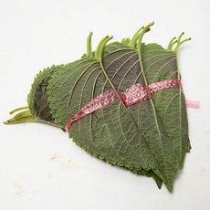 [프레시팜] 쌈채소 깻잎 100묶음 100속 1kg 2kg