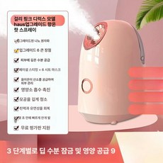 냉온 얼굴스팀기 미용 페이셜 셀프 수분공급기 페이셜스티머 홈케어 보습 모공관리기 가정용