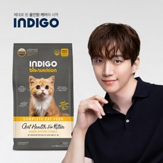 인디고 특허 유산균 면역 앤 키튼 고양이 사료, 1개, 6kg 