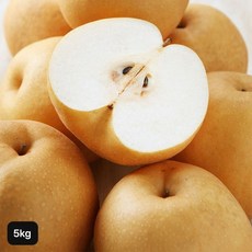 가정용 못난이 나주배 5kg5~9과[34593931] 1개, 2개