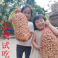 땅콩싹발아신기수배함재배함 전용접시콩나물육묘분씨앗기콩나물통 B53317, 껍질 있는 땅콩 3근을 정선하다.