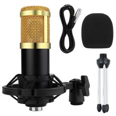 올마스터마이크