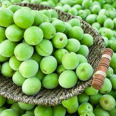 싱싱한 청매실 1개 5kg(대)