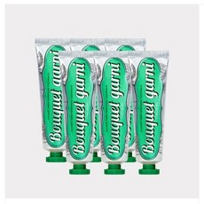 부케가르니 구취 케어 치약 라임민트 향 100g x 6개