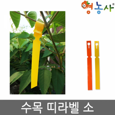 수목라벨 소 100매/ 식물 이름표 나무 띠라벨 원예, 수목라벨[주황]소