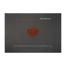 건조/말린 아나토 씨앗(Annatto seed/Bixa orellana) 100g, 1개