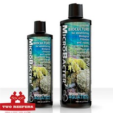브라이트웰 마이크로박터7 500ml -해수 담수 박테리아제