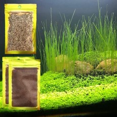 3 수족관 식물 Se-e-d 콤보 어항 테라리움 왜소 카펫용 인공 담수 잔디 없음 범용 기판 플라스틱 11aab 없음, 1개