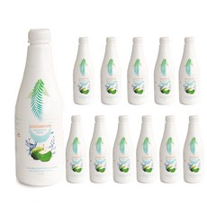 CAFE FRUIT 프리미엄 숙성 코코넛워터 고당도 1250ml 대용량, 12개, 1.25L