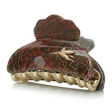 에트로헤어클립