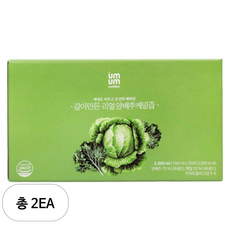 움움 갈아만든 리얼 양배추케일즙, 2L, 2개