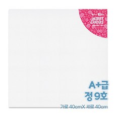 [토단] 하비 캔버스 정사각 9호 40x40