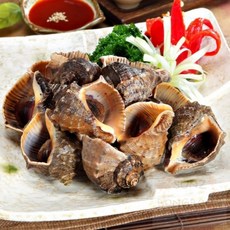 썬즈봉봉 참소라 1KG 중 수산물, 1개