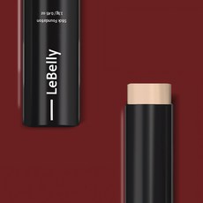 리벨리스틱파운데이션