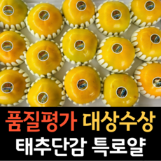 태추감