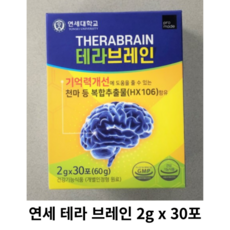 테라브레인