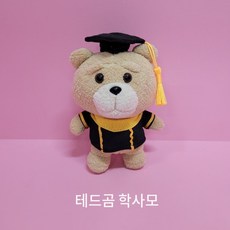 19곰 테드 캐릭터인형 봉제고리인형 학사모테드