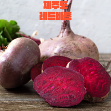 제주도 친환경 유기농 고당도 레드비트