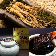 금산홍삼조합 장뇌삼 기력정 장뇌산삼 농축액 1kg