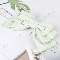 아기레오파드보타이