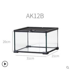 크레스티드게코렉사