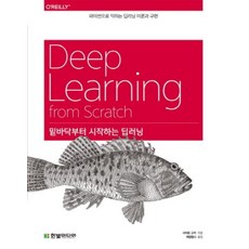 밑바닥부터 시작하는 딥러닝 1 - 파이썬으로 익히는 딥러닝 이론과 구현, 한빛미디어