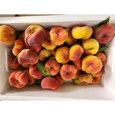 신유빈 먹빵 납작복숭아(거반도) 백도 1kg 유럽식 오리지널, 1개