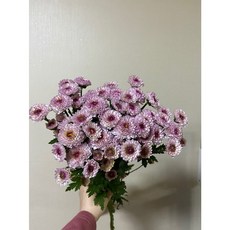 b490a5aaeea854e2fd7180d473b4ed76b70758cc776d16a0b11535063aa8.jpg