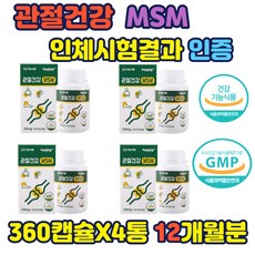 관절인체50