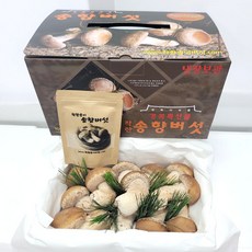참송이
