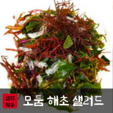 완도 해초 꼬시래기 염장 샐러드 건조 국수 모듬 1.5kg, 해초모듬, 1개