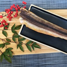 부산애견동반카페