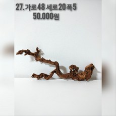 모파니 투톤유목 테라리움유목 비바리움유목 대형유목 파충류 은신처 수초활착유목 새우 먹이 새우은신처 어항 레이아웃 목부작 어항꾸미기 솟대 횃대, 1개