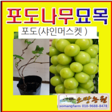 148b32df0babda72d61b1b2079ce11fa6f4e02bdc84962f8630dc4970500.png