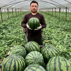 익산원예농협수박