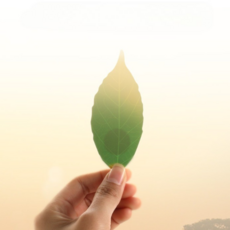 박하상점 가정용 사무실용 나뭇잎 온도계, 2개
