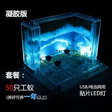 개미집 개미 공방 성 장원 별장 농장 관찰 케이스매우 빅사이즈 포장 2020, T04-E35-블루타이 램프(50개 작업자 개미)1년 인상