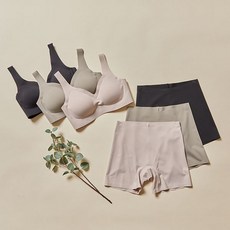 애니바디네모팬티