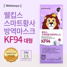 웰킵스 미세먼지 마스크 KF80 KF94 대형 소형 초소형 25매입, KF94 대형 25매, 25개, 25개