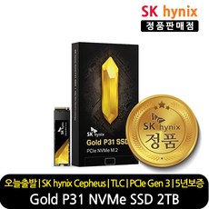 SK하이닉스 Gold P31 NVMe 2TB M.2 SSD 2280 TLC, 1개, P31 2TB