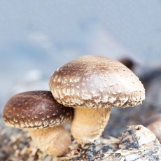 ed91c1759fbebd75a181401bcc33aab07afb9ce417a17fce7c993830e8e0.jpg