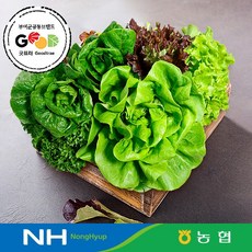 무농약 유럽 샐러드 채소 500g(특) 랜덤구성/ 농협 산지직송 European salad vegetables, 1개