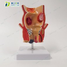 간호사를위한병리학