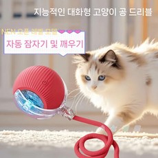 1+1 고양이 장난감 USB충전 지능형 전동 펫토이, 레드, 레드