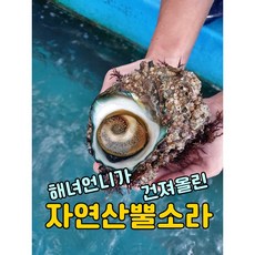 추천8 해녀언니