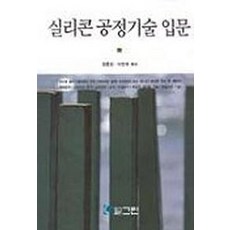 실리콘공정기술입문