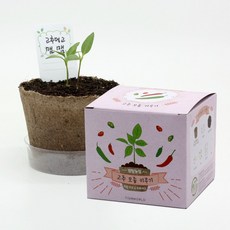 팜팜농장관찰일지