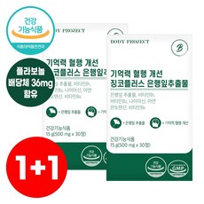징코플러스 혈액순환 기억력 혈행 개선에 도움 은행잎추출물 영양제 아연 판토텐산 비타민B 부모님 수험생, 2박스, 30정